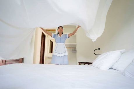 Hotels & Lodging